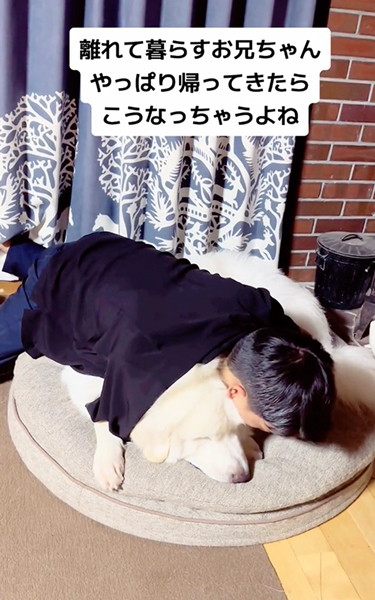 愛犬にメロメロなお兄ちゃん