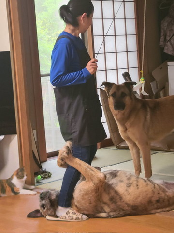 オカン
