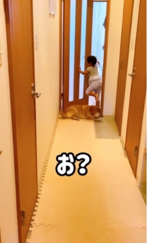 犬をまたぐ女の子