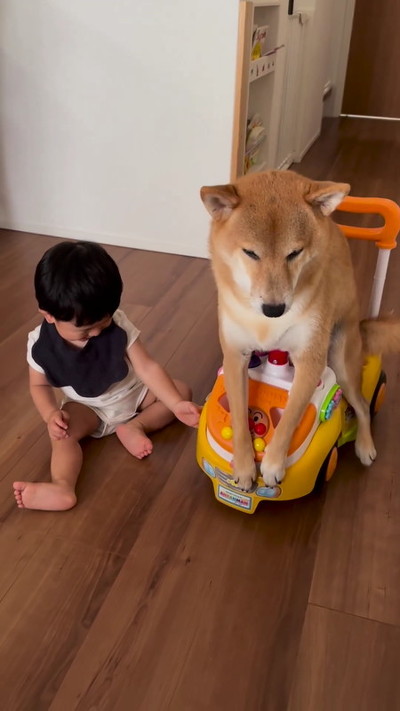 犬が乗った車を押す男の子