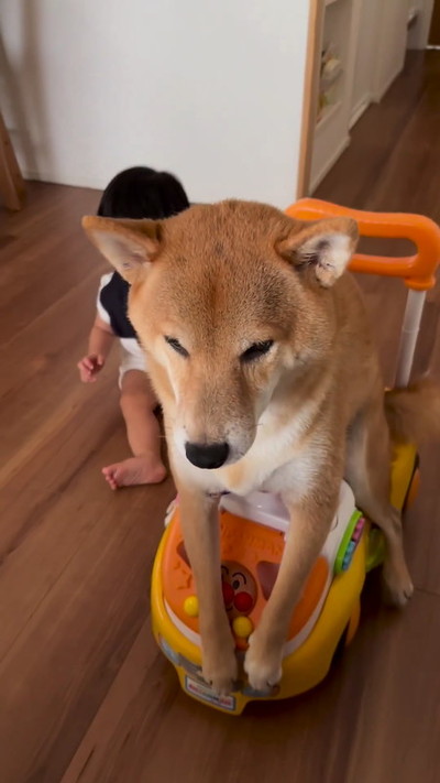 前進するアンパンマンカー