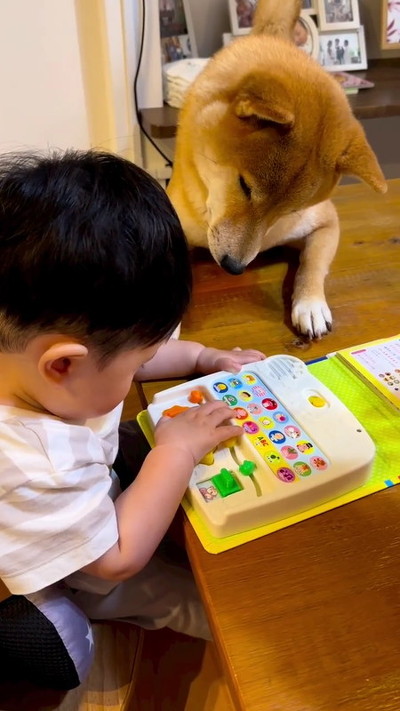 うた絵本を見る男の子と犬