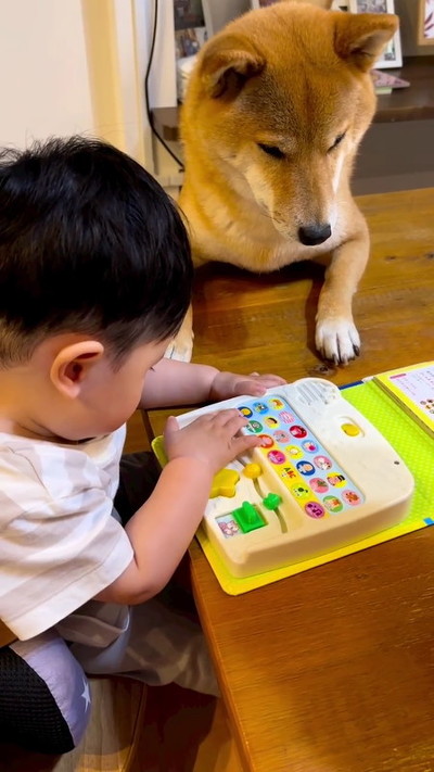 うた絵本を見る男の子と犬