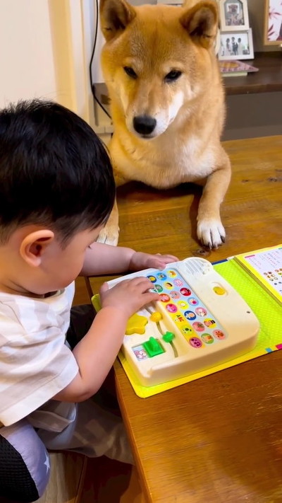 うた絵本を見る男の子と犬