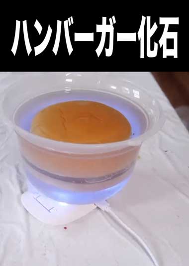 ハンバーガー 化石 樹脂 レジン 保存 3年 経過
