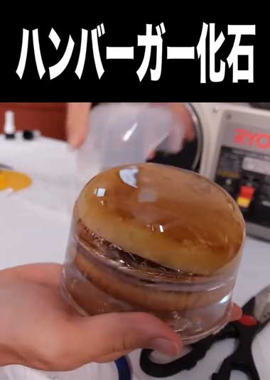 ハンバーガー 化石 樹脂 レジン 保存 3年 経過