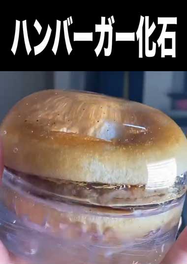ハンバーガー 化石 樹脂 レジン 保存 3年 経過
