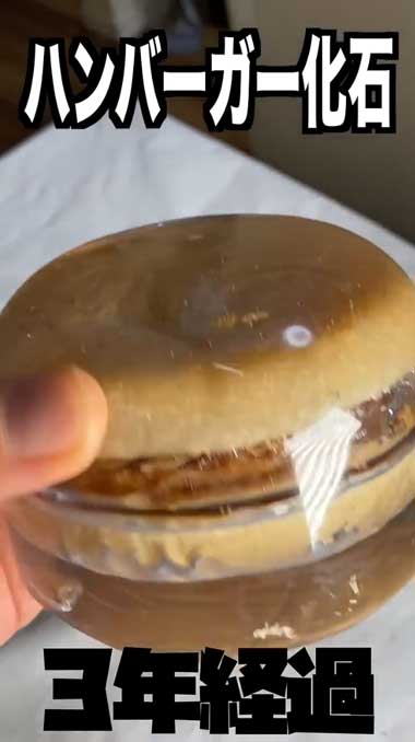 ハンバーガー 化石 樹脂 レジン 保存 3年 経過