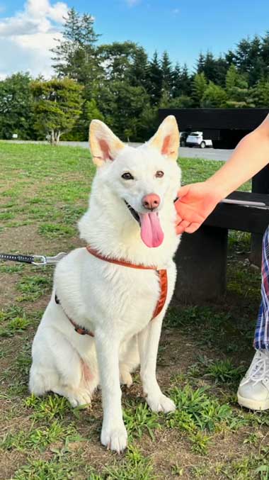 成長したマリン