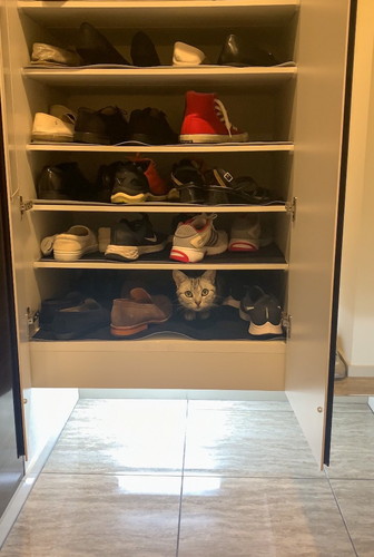 あんこくん発見