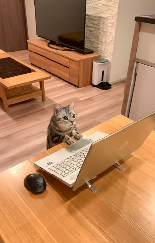 あんこくん発見