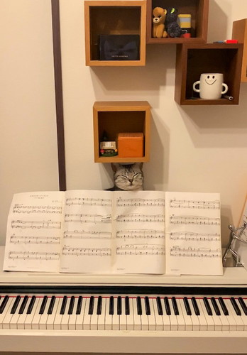 あんこくん発見