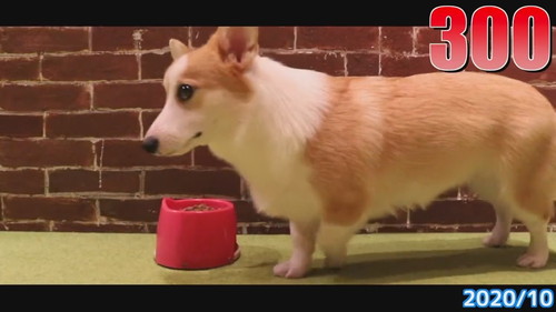 つむぎちゃんの300日