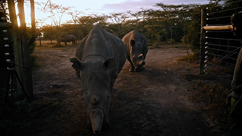 写真 コンテスト ウクライナ