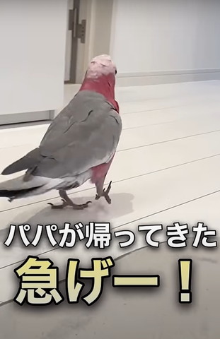 前回みりん