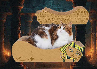 「ファラオの添い寝爪とぎ」