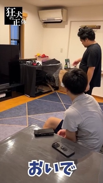 子どもを守るためにとったドーベルマンの行動