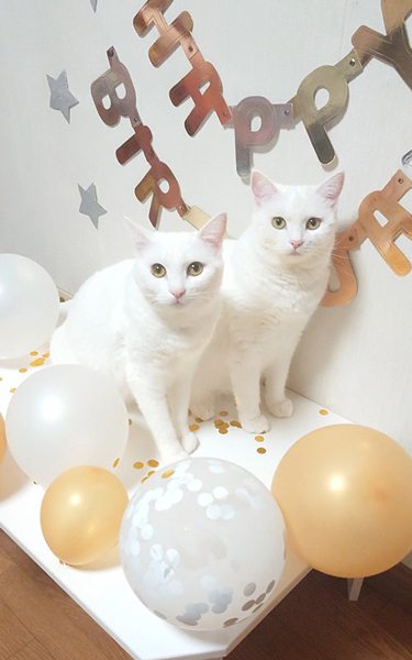 2歳の誕生日