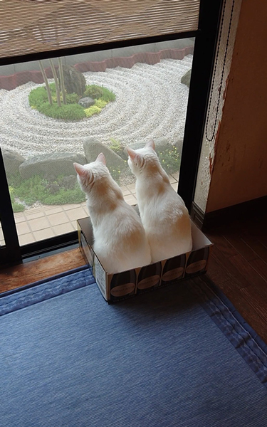 かわいい後ろ姿