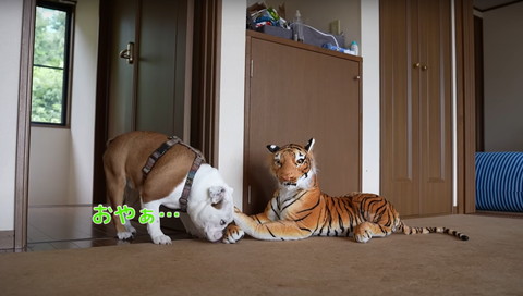 おやぁテロップ