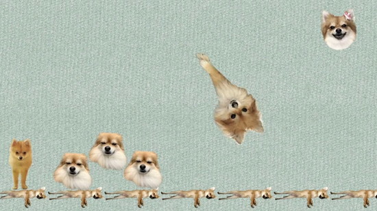 犬のゲーム