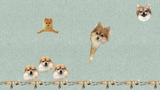 犬のゲーム