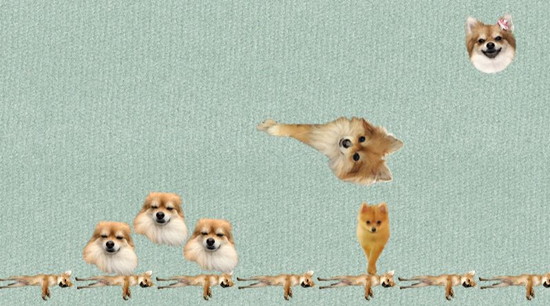 犬のゲーム