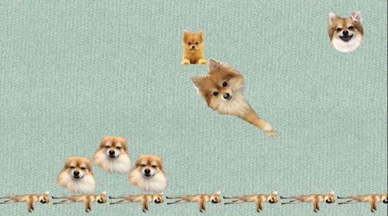 犬のゲーム