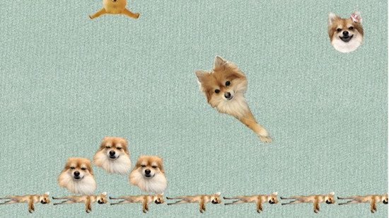 犬のゲーム