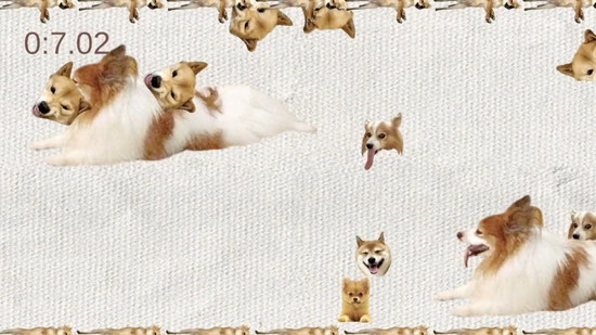 犬のゲーム