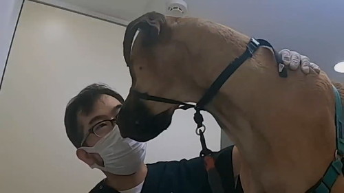 冗談を言う先生