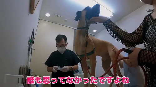 誰も思ってなかった