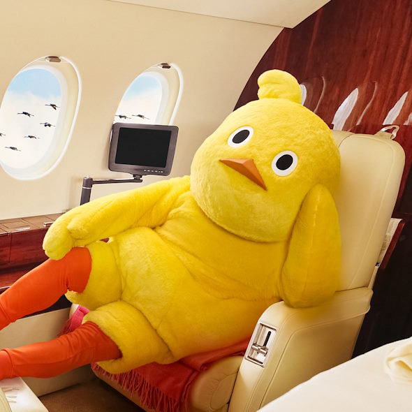 ひよこちゃんによる世界渡り鳥デー