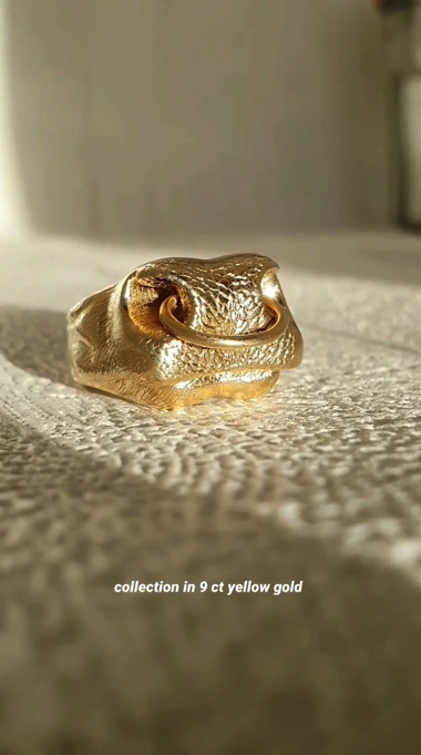 動物の鼻のリング