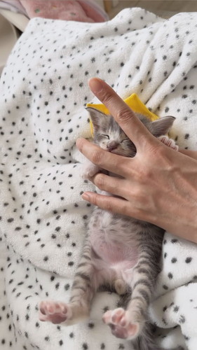 えくぼくんのちゅーちゅー