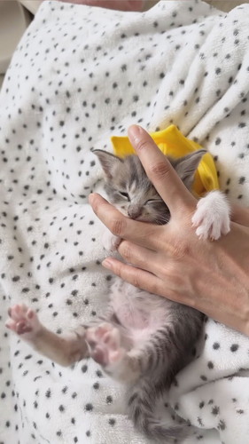 えくぼくんのちゅーちゅー