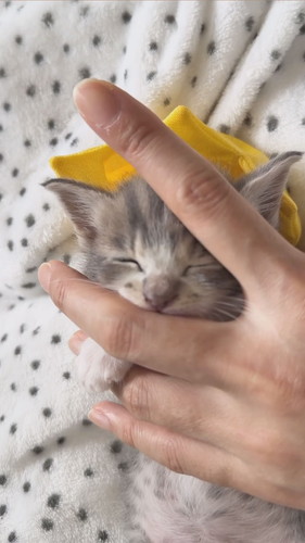 えくぼくんのちゅーちゅー