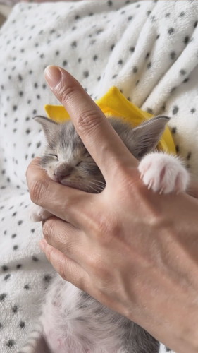 えくぼくんのちゅーちゅー