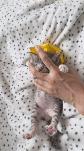 えくぼくんのちゅーちゅー