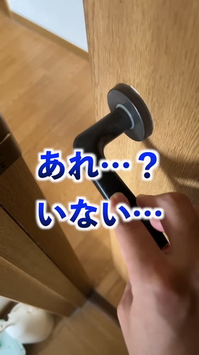 「オウムの前で扉を閉めると荒ぶる神になるので鎮める」