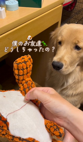 僕のお友達どうしちゃったのテロップ