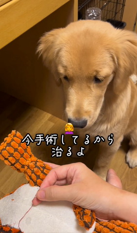 今手術してるから治るよ