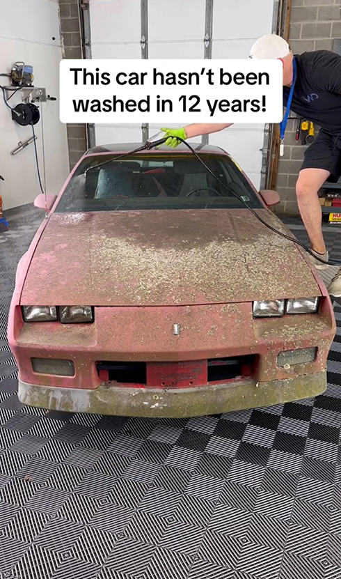 苔が生えた状態