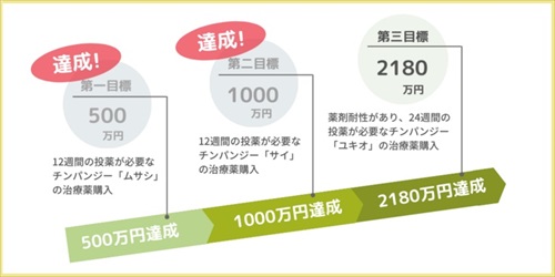 チンパンジーの治療クラファン