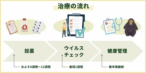 チンパンジーの治療クラファン