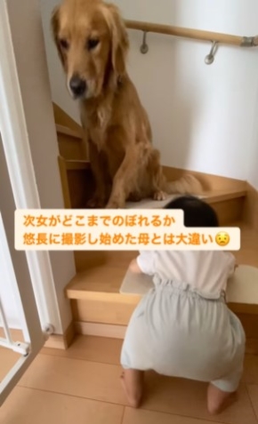 階段を上る女の子を見守る犬