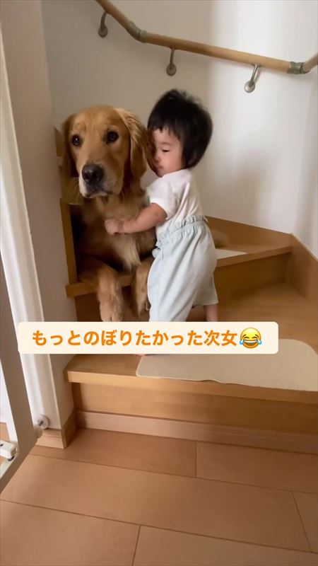 一段目を上った女の子を見守る犬
