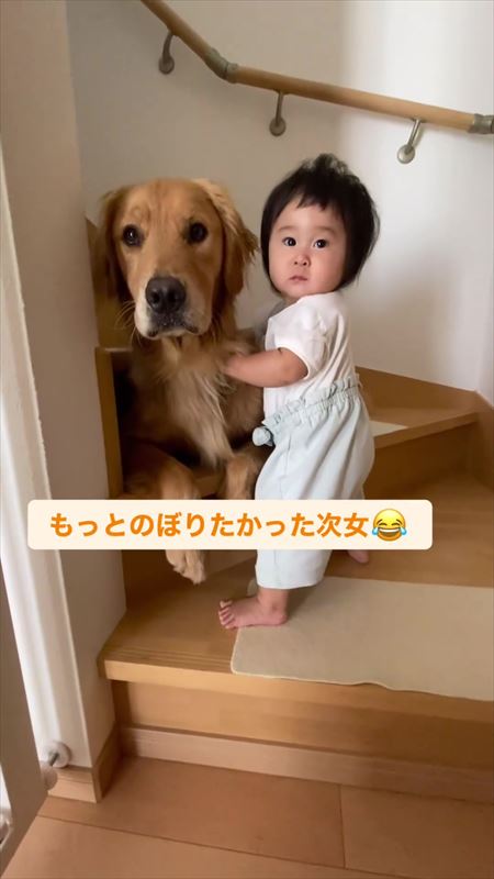 一段目を上った女の子を見守る