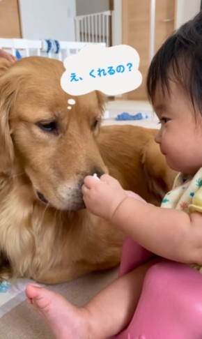 女の子のおやつを狙う犬