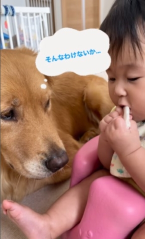 女の子のおやつを狙う犬